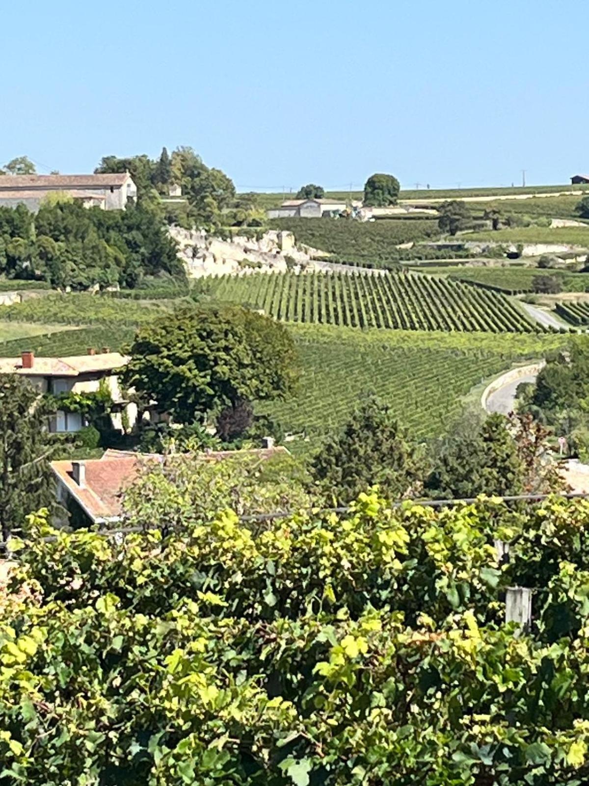 Les Logis Des Vignobles Saint Emilion En Duplex N 2 Avec Terrasse Apartman Kültér fotó